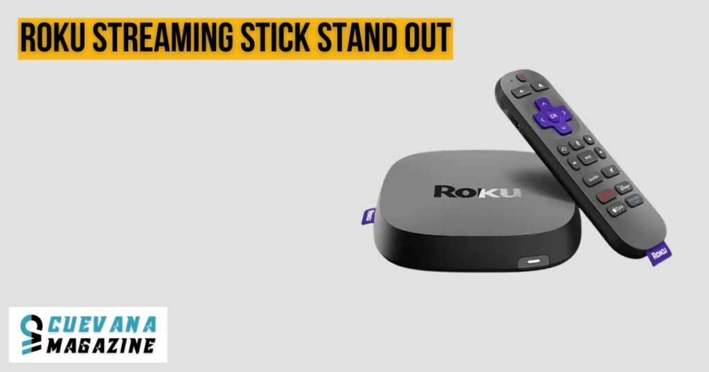 What Makes the Roku Streaming Stick Stand Out