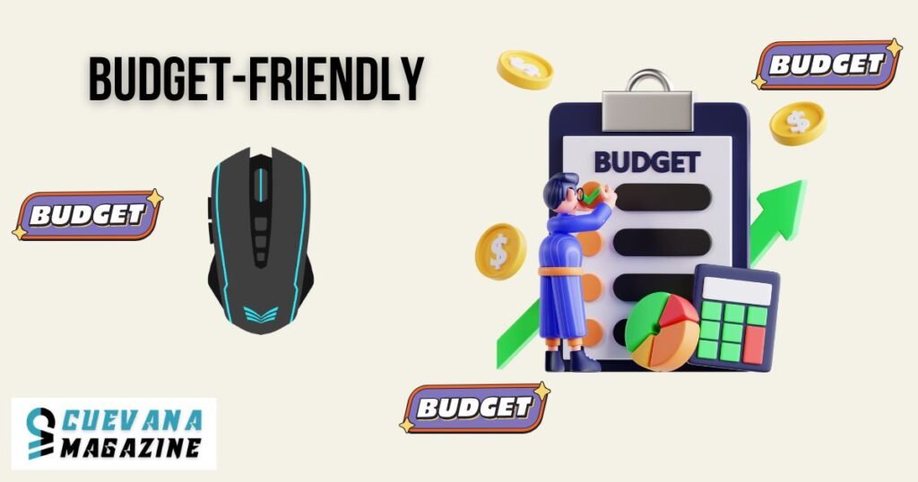 Budget-Friendly Options